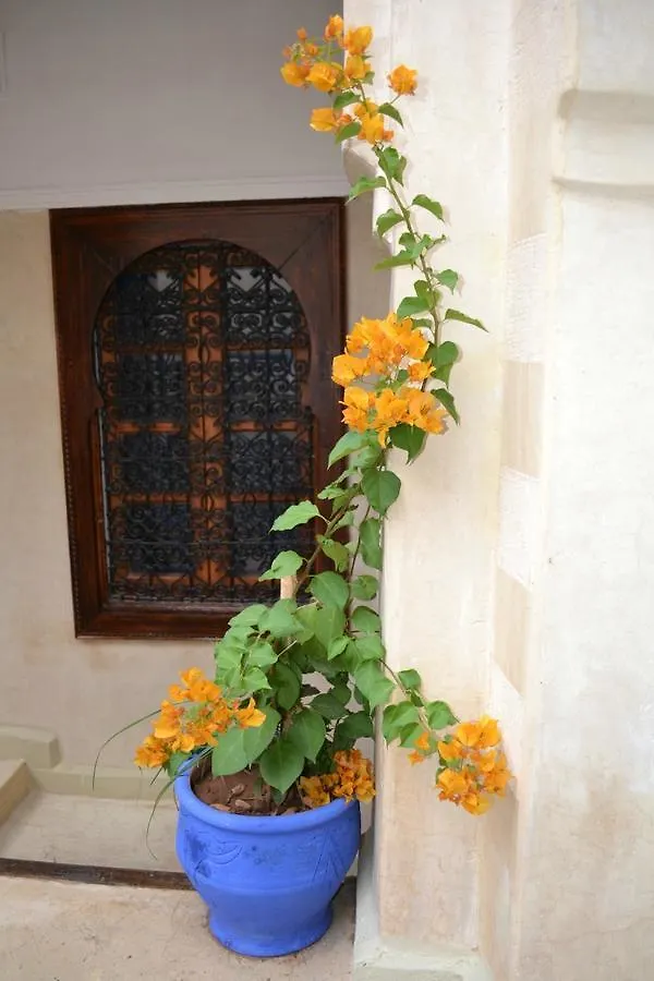 Riad Riva Marrakesh Morocco